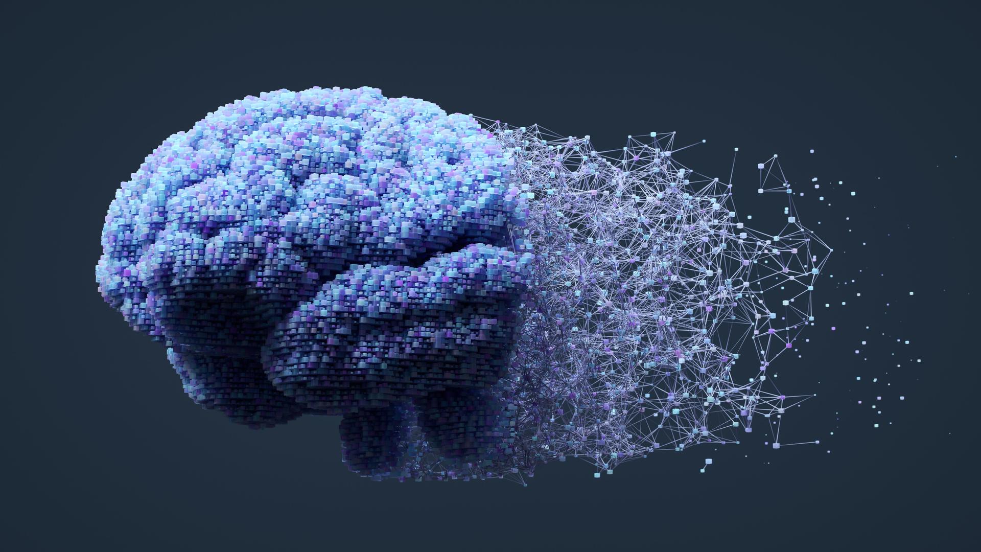 Digital Brain Connections